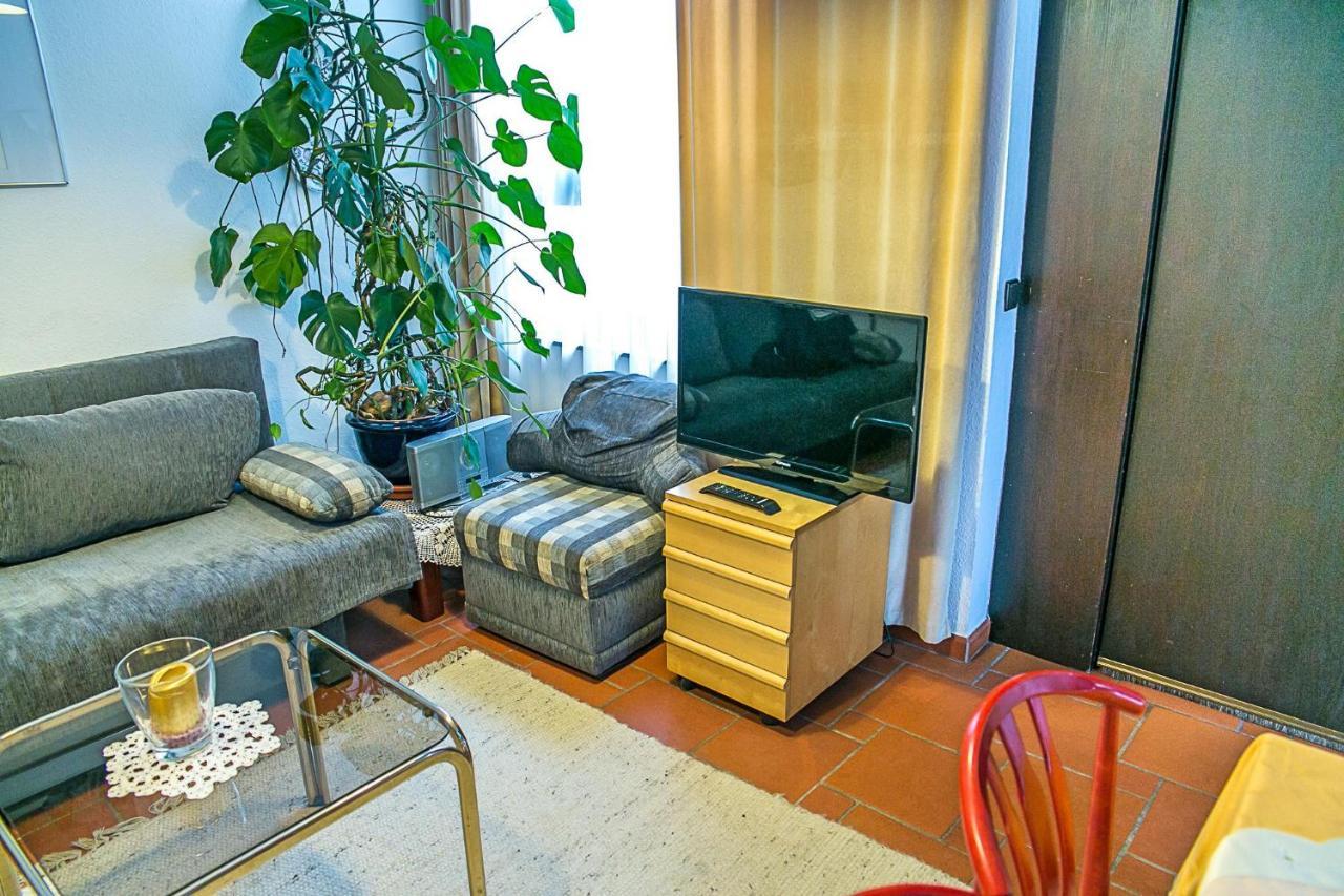 Apartament Rothauer