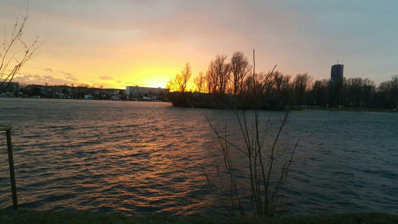 Rothauer * Wiedeń